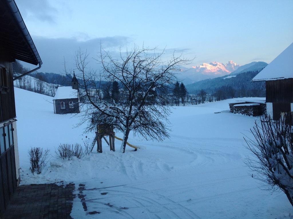 Ferienwohnung Strubbauer Urlaub Am Bauernhof Abtenau Exterior foto
